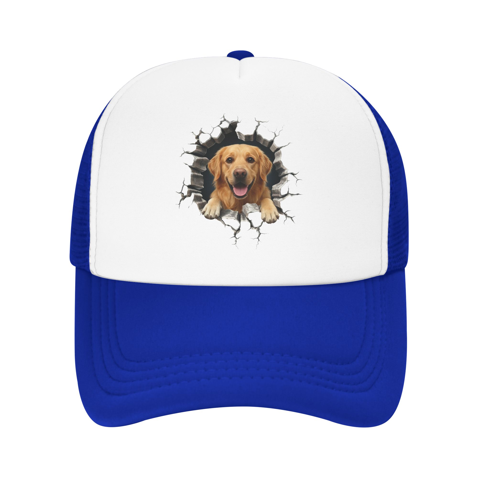 Бейсболка «Золотистый ретривер – обзор и цена Hat Snapback Cap