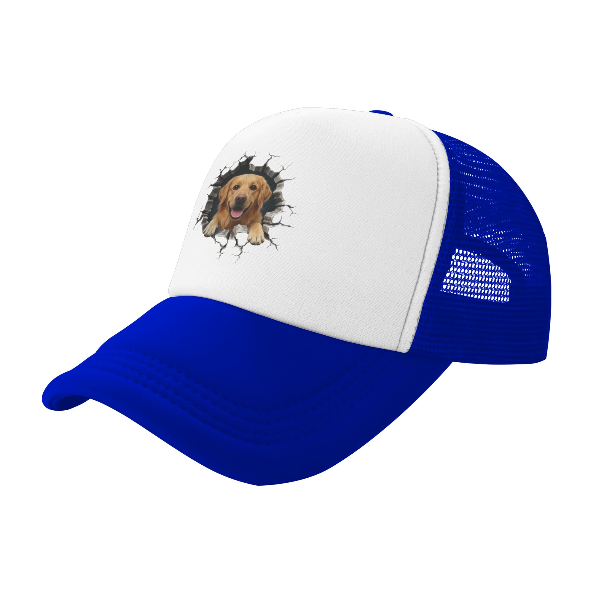 Бейсболка «Золотистый ретривер – обзор и цена Hat Snapback Cap